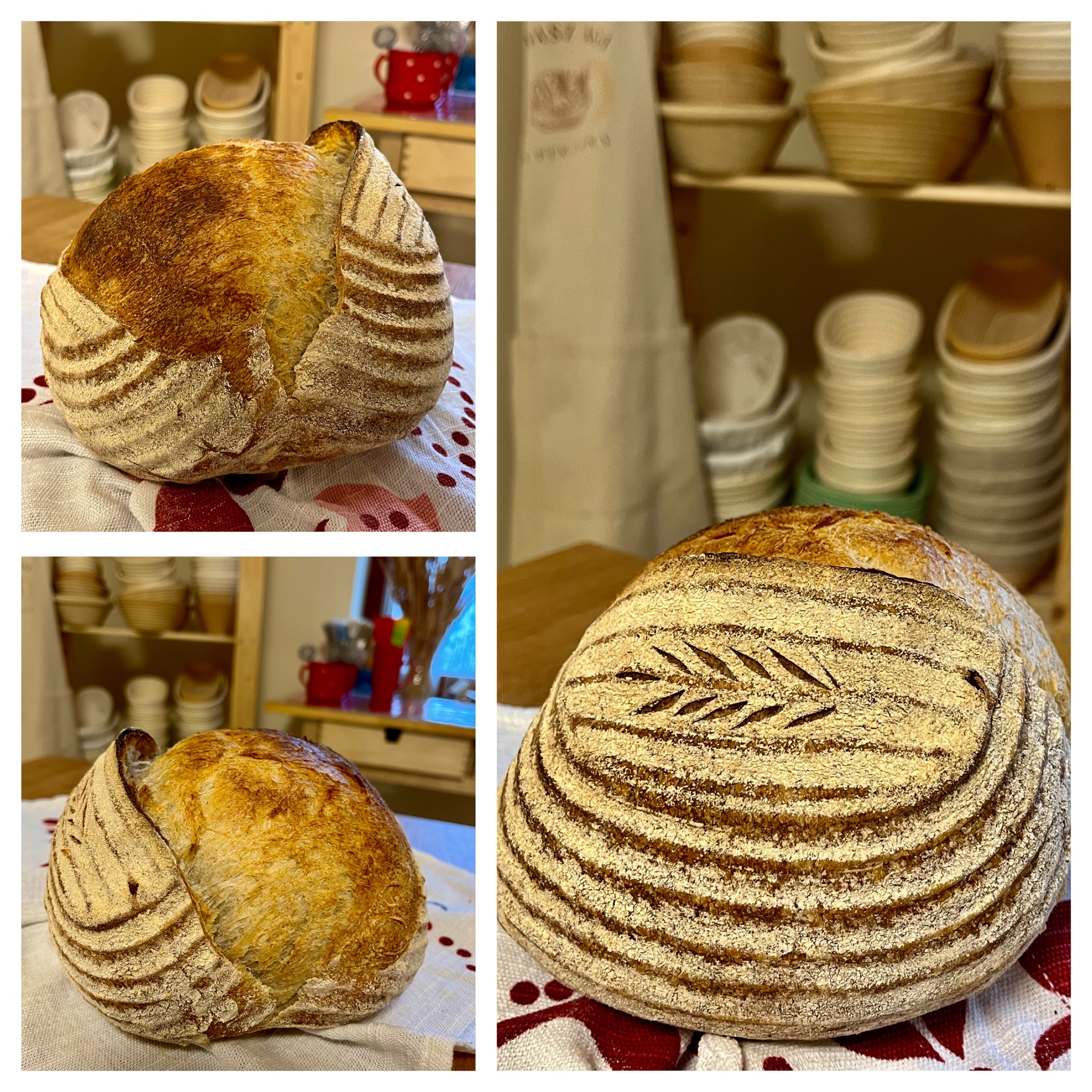 Kovászolás Online Workshop