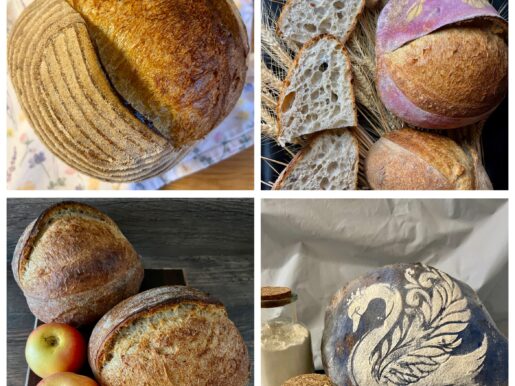 {{brizy_dc_image_alt entityId=