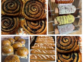 {{brizy_dc_image_alt entityId=