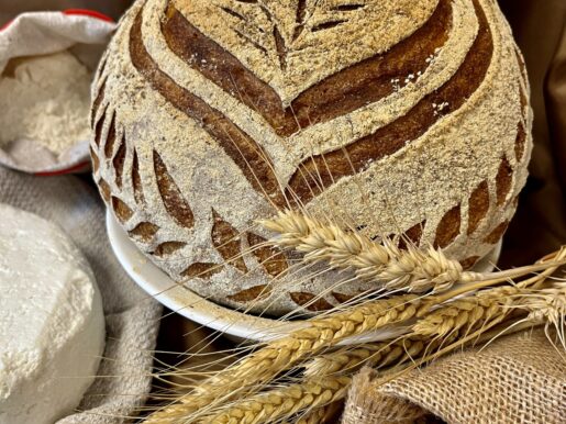 {{brizy_dc_image_alt entityId=