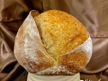 {{brizy_dc_image_alt imageSrc=