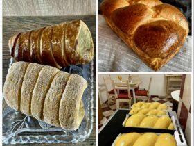 {{brizy_dc_image_alt entityId=