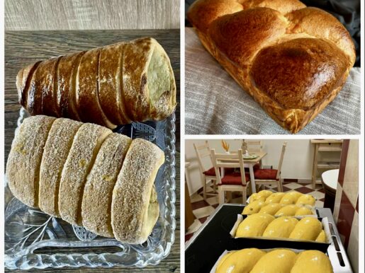 {{brizy_dc_image_alt entityId=