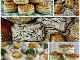 {{brizy_dc_image_alt entityId=